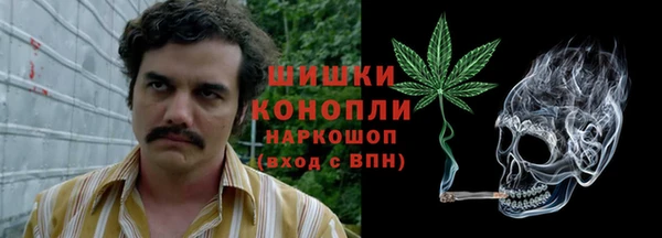 первитин Гусев