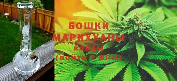 первитин Гусев